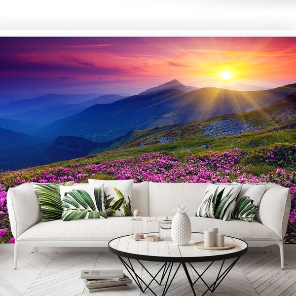 Fototapeta Vliesová Rhododendron kvety 104x70 cm