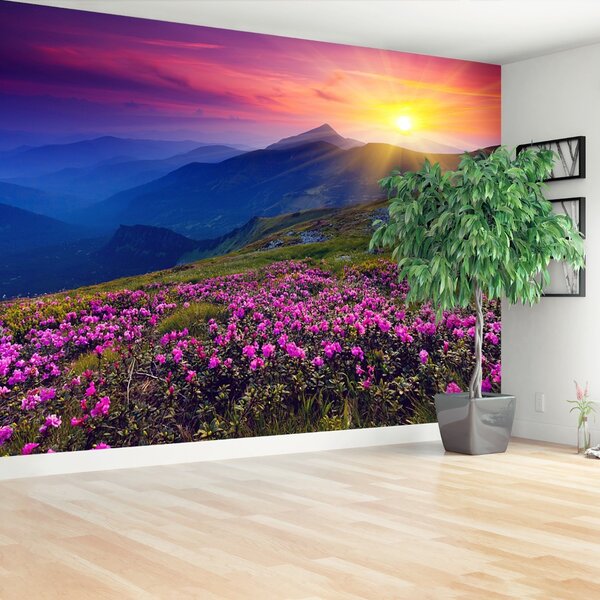 Fototapeta Vliesová Rhododendron kvety 104x70 cm