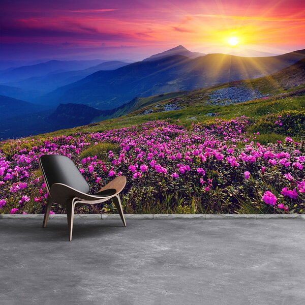 Fototapeta Vliesová Rhododendron kvety 104x70 cm