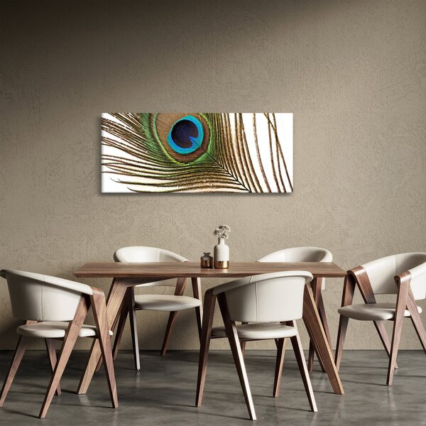 Obraz pávieho peria (120x50 cm)