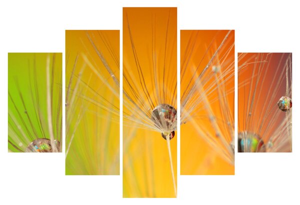 Obraz kvapiek na rastline (150x105 cm)