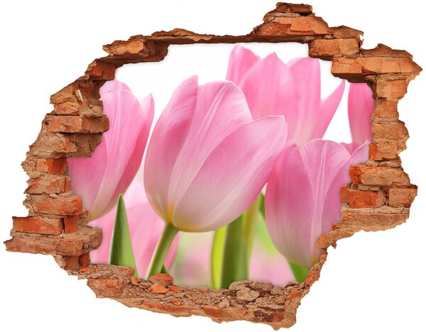 Nálepka fototapeta 3D Ružové tulipány nd-c-76775867