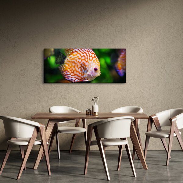 Obraz ryby (120x50 cm)