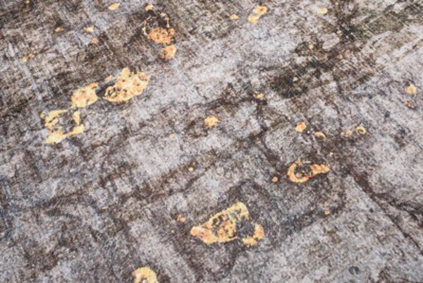 TA Koberec Y-272A FLANNEL PRINTED Sivý (flanelový) Obdĺžnikový Rozmer: 80x150 cm