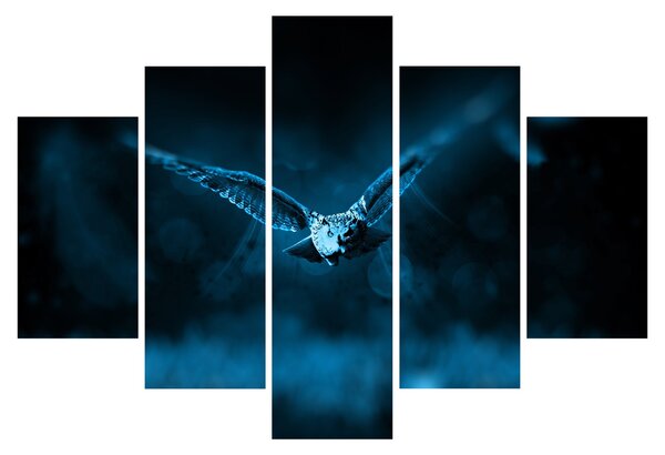 Obraz letiacej sovy (150x105 cm)