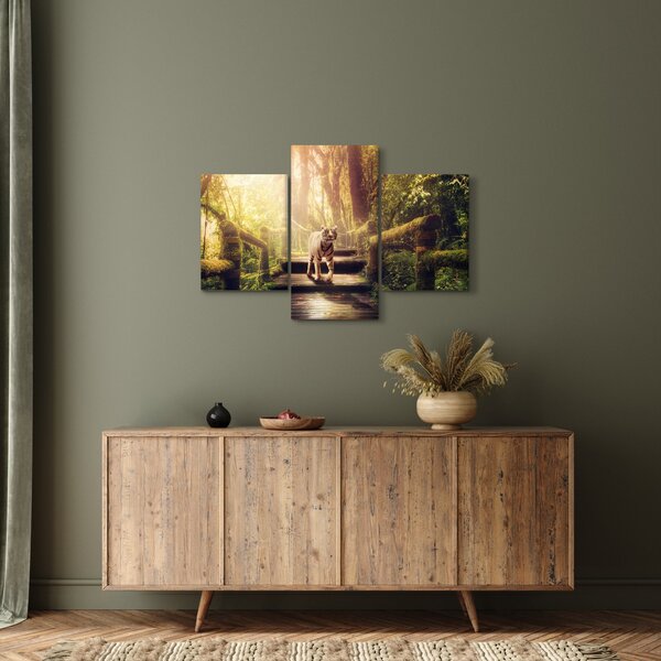 Obraz tigra (90x60 cm)