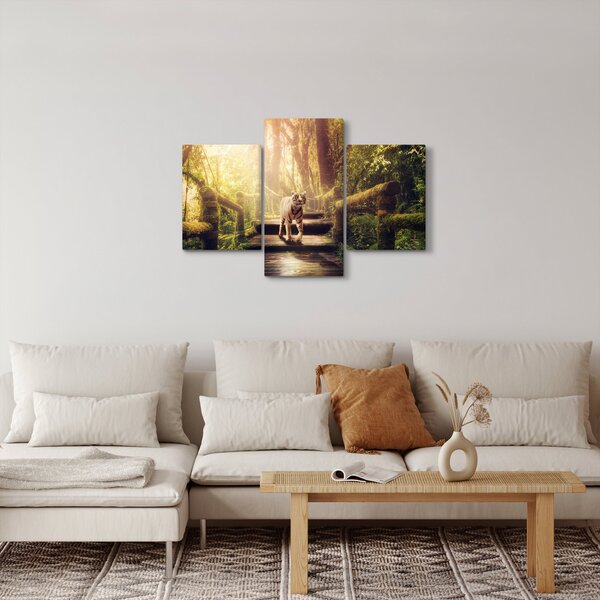 Obraz tigra (90x60 cm)