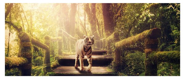 Obraz tigra (120x50 cm)