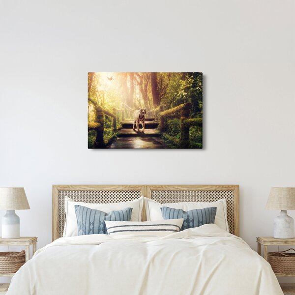 Obraz tigra (90x60 cm)