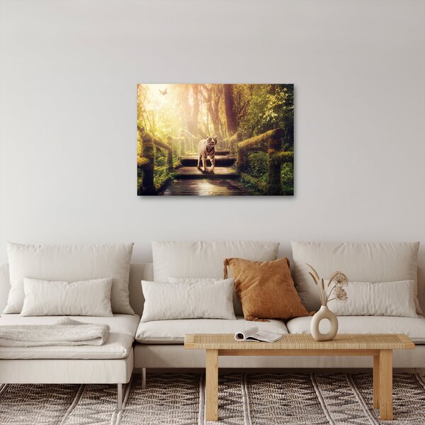 Obraz tigra (70x50 cm)