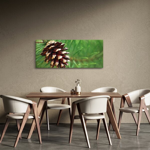 Obraz šišky (120x50 cm)