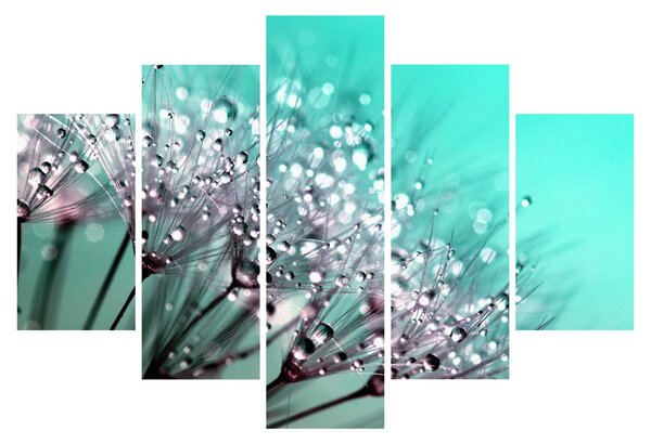 Obraz - orosená rastlina (150x105 cm)