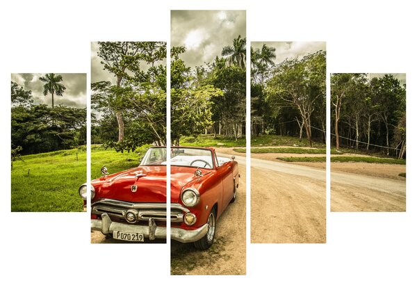 Obraz - auto veterán v prírode (150x105 cm)
