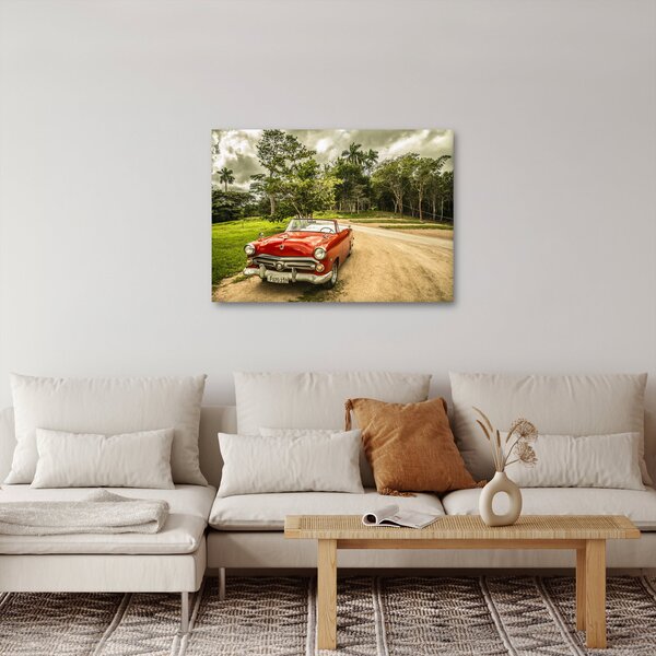 Obraz - auto veterán v prírode (70x50 cm)
