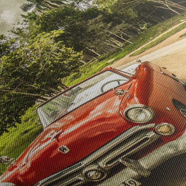 Obraz - auto veterán v prírode (120x50 cm)