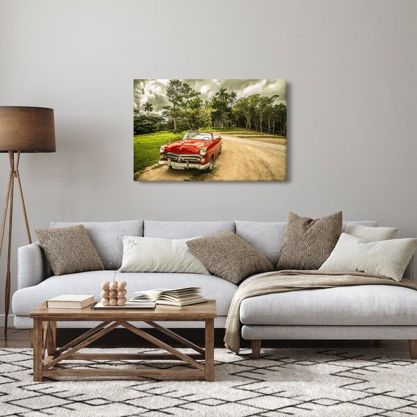 Obraz - auto veterán v prírode (90x60 cm)