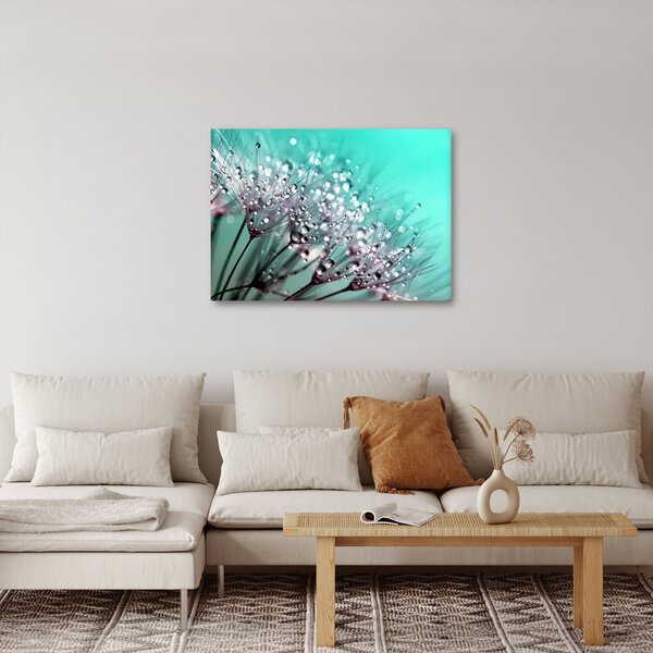 Obraz - orosená rastlina (70x50 cm)