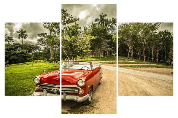 Obraz - auto veterán v prírode (90x60 cm)