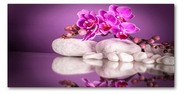 Moderný obraz fotografie na akrylu Ružová orchidea