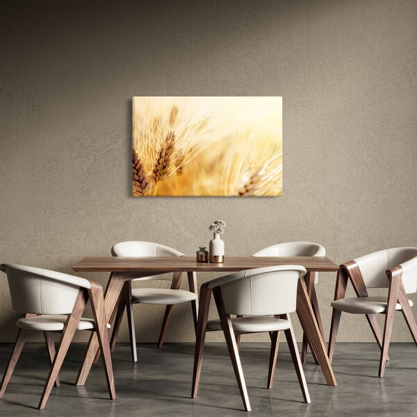 Obraz - detail obilia (90x60 cm)