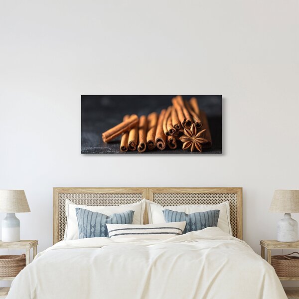 Obraz škorice (120x50 cm)