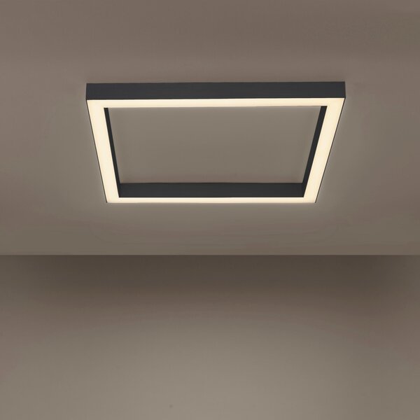 STROPNÉ LED SVIETIDLO, 55/55/3,9 cm - Interiérové svietidlá