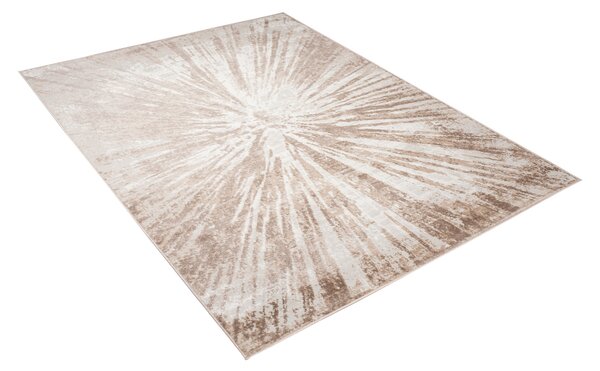 TA Koberec D149E WHITE/VIZON PORTLAND Biely Obdĺžnikový Rozmer: 80x150 cm
