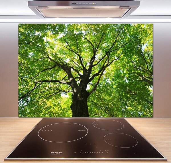 Dekoračný panel sklo Zelený les pl-pksh-100x70-f-86959394