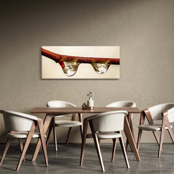 Obraz kvapiek na vetve (120x50 cm)