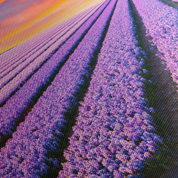Obraz - kvetinová farma (90x60 cm)