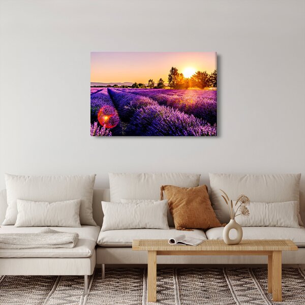 Obraz levanduľového poľa (90x60 cm)