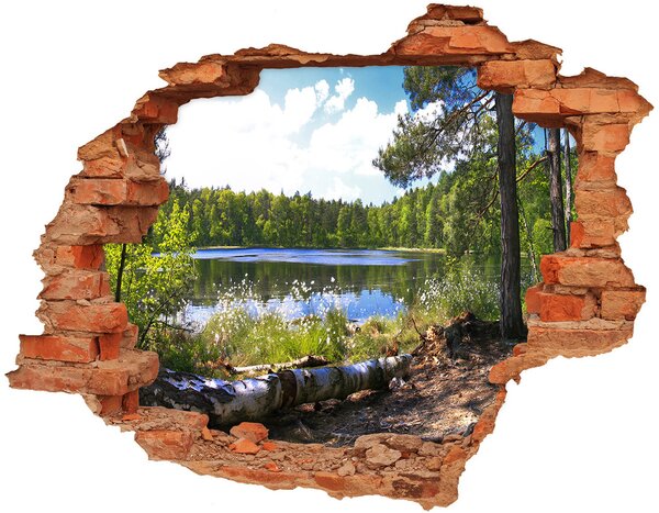 Fototapeta diera na stenu 3D Lesné panorama nd-c-65467698