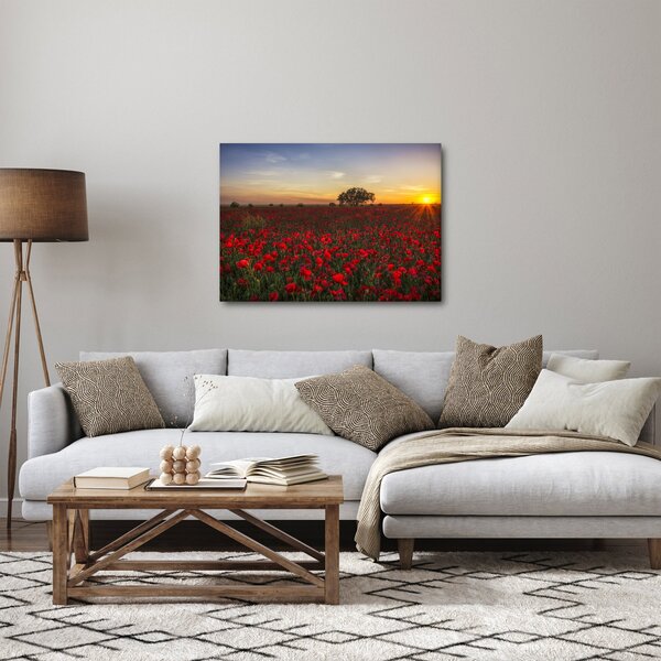 Obraz lúky s vlčími makmi (70x50 cm)