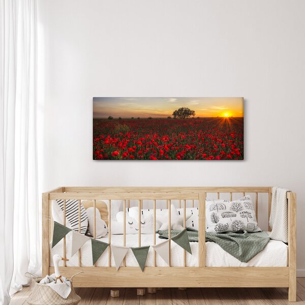 Obraz lúky s vlčími makmi (120x50 cm)