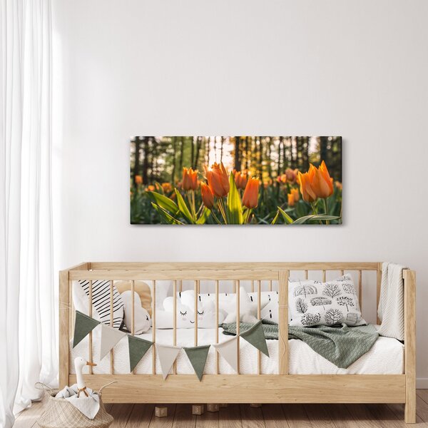Obraz - oranžové tulipány (120x50 cm)