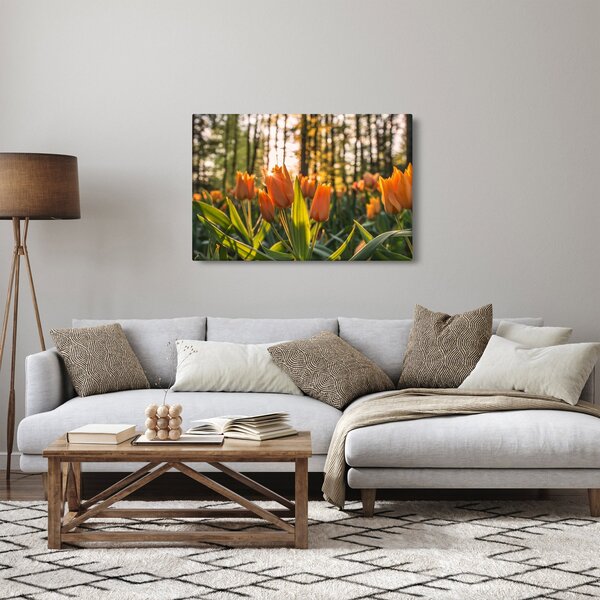 Obraz - oranžové tulipány (90x60 cm)