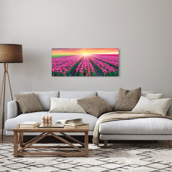 Obraz poľa tulipánov so slnkom (120x50 cm)