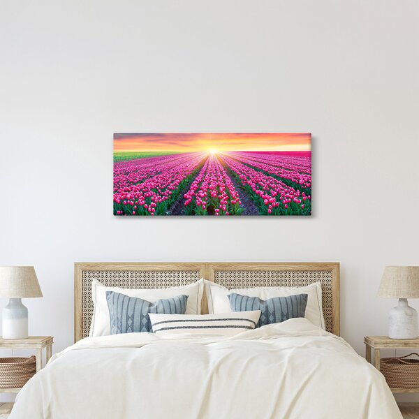 Obraz poľa tulipánov so slnkom (120x50 cm)