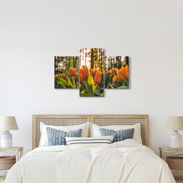 Obraz - oranžové tulipány (90x60 cm)