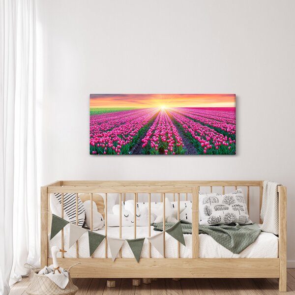 Obraz poľa tulipánov so slnkom (120x50 cm)