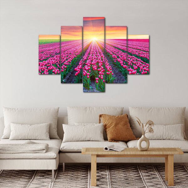 Obraz poľa tulipánov so slnkom (150x105 cm)