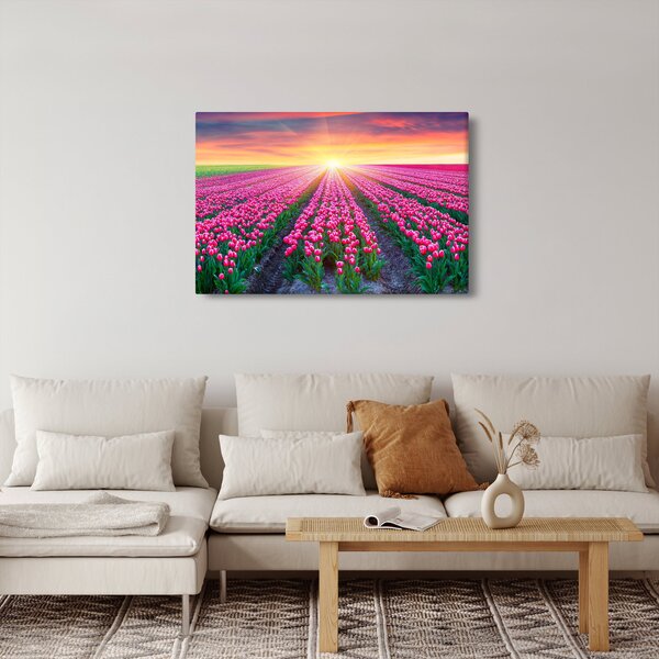 Obraz poľa tulipánov so slnkom (90x60 cm)