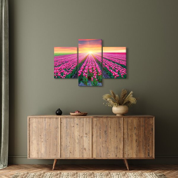Obraz poľa tulipánov so slnkom (90x60 cm)