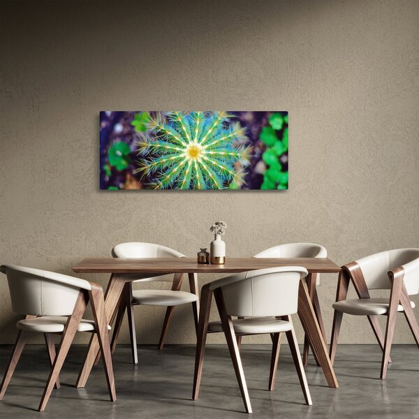 Obraz kaktusu (120x50 cm)