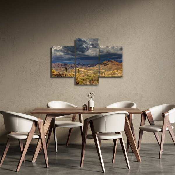 Obraz - kaktusy v prírode (90x60 cm)