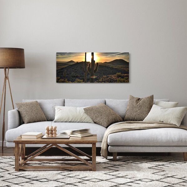 Obraz - kaktusy v slnku (120x50 cm)