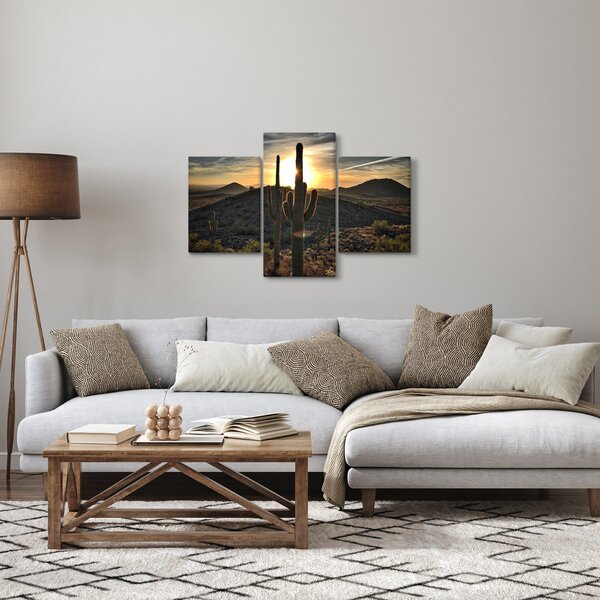 Obraz - kaktusy v slnku (90x60 cm)