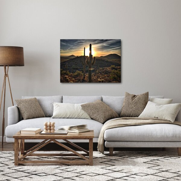 Obraz - kaktusy v slnku (70x50 cm)
