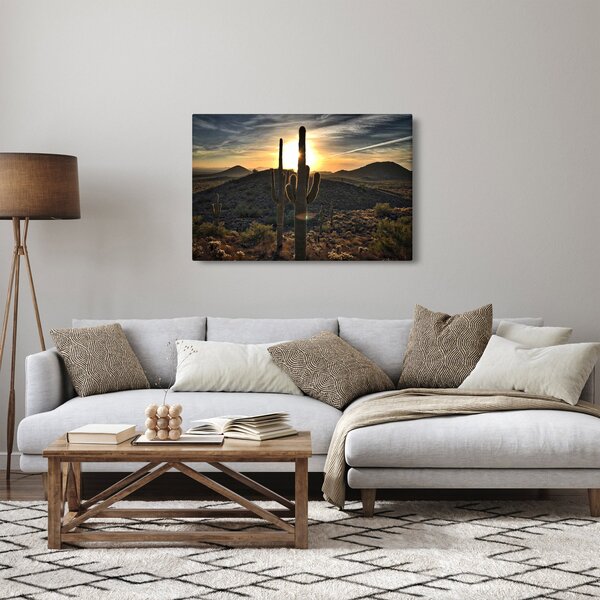 Obraz - kaktusy v slnku (90x60 cm)