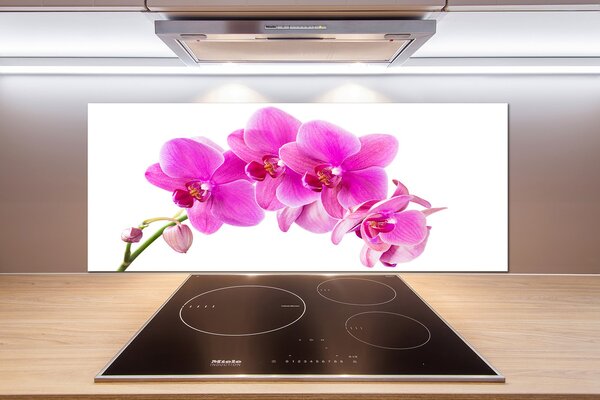 Panel do kuchyne Ružová orchidea pl-pksh-125x50-f-67673367